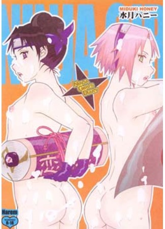 хентай манга Наруто - Ninja Girl&#39;s Diary (Naruto - Ninja Girl&#39;s Diary) 11.09.11