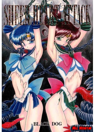 Sailor Moon & Такседо Маск